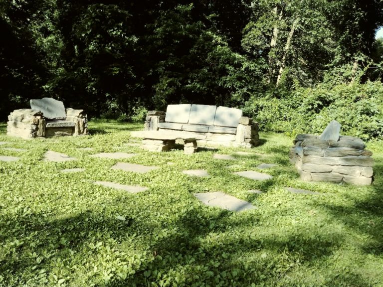 Read more about the article Healing Forests