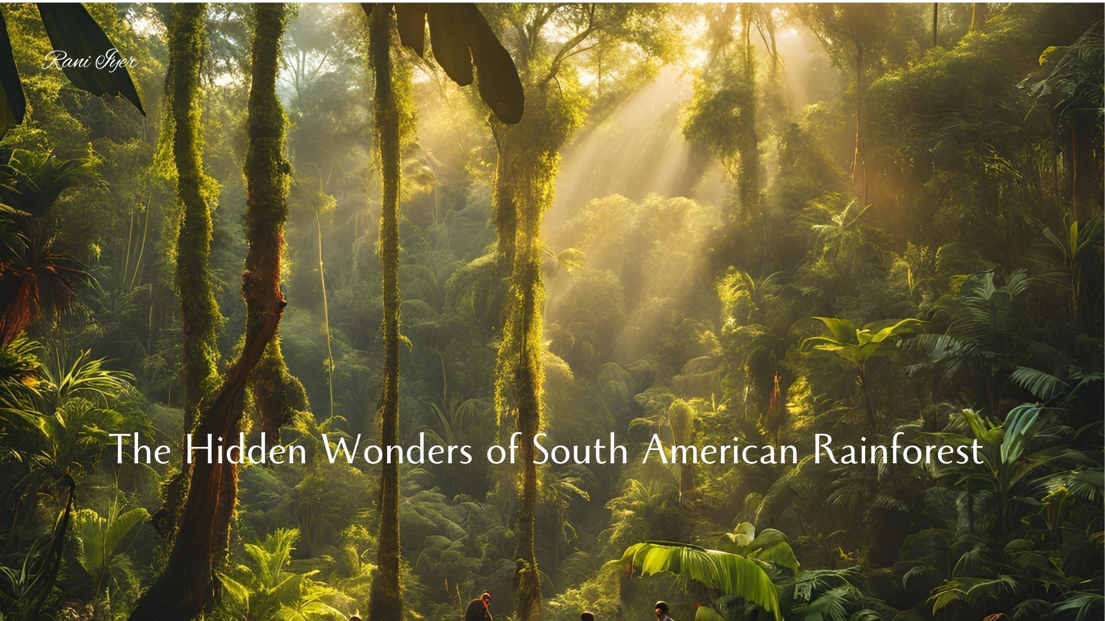 The Hidden Wonders of South American Rainforest: Exploring the Fascinating Wildlife