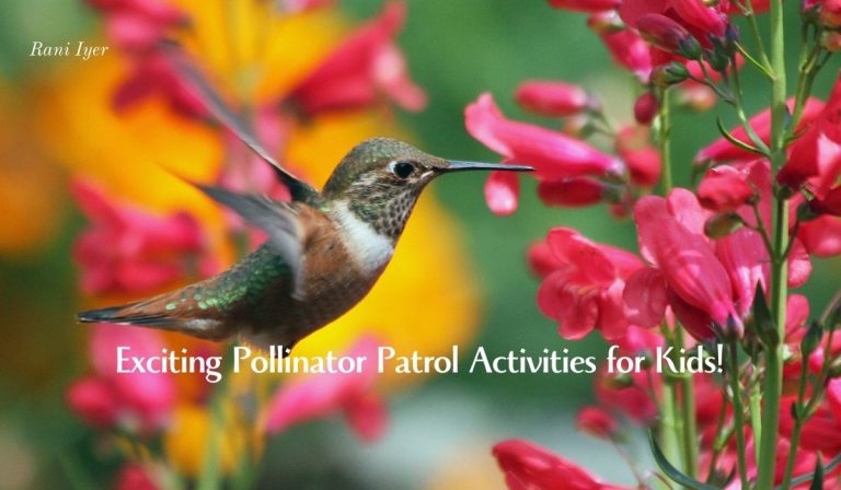 Read more about the article Buzzing into Summer: Exciting Pollinator Patrol Activities for Kids!