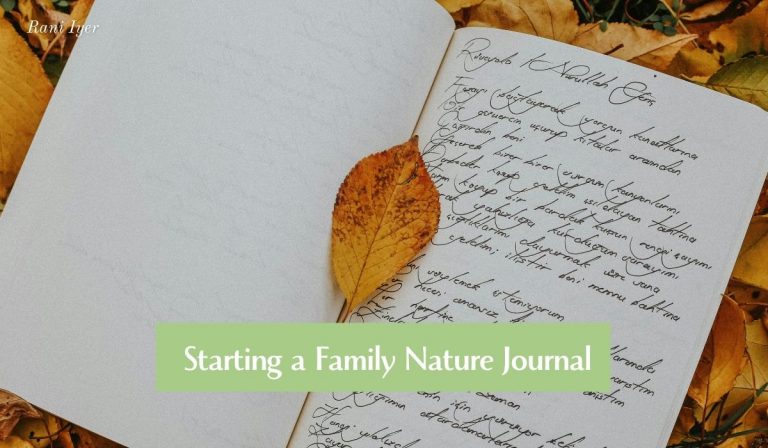 Read more about the article 365 Days of Noticing: Starting a Family Nature Journal That Actually Sticks