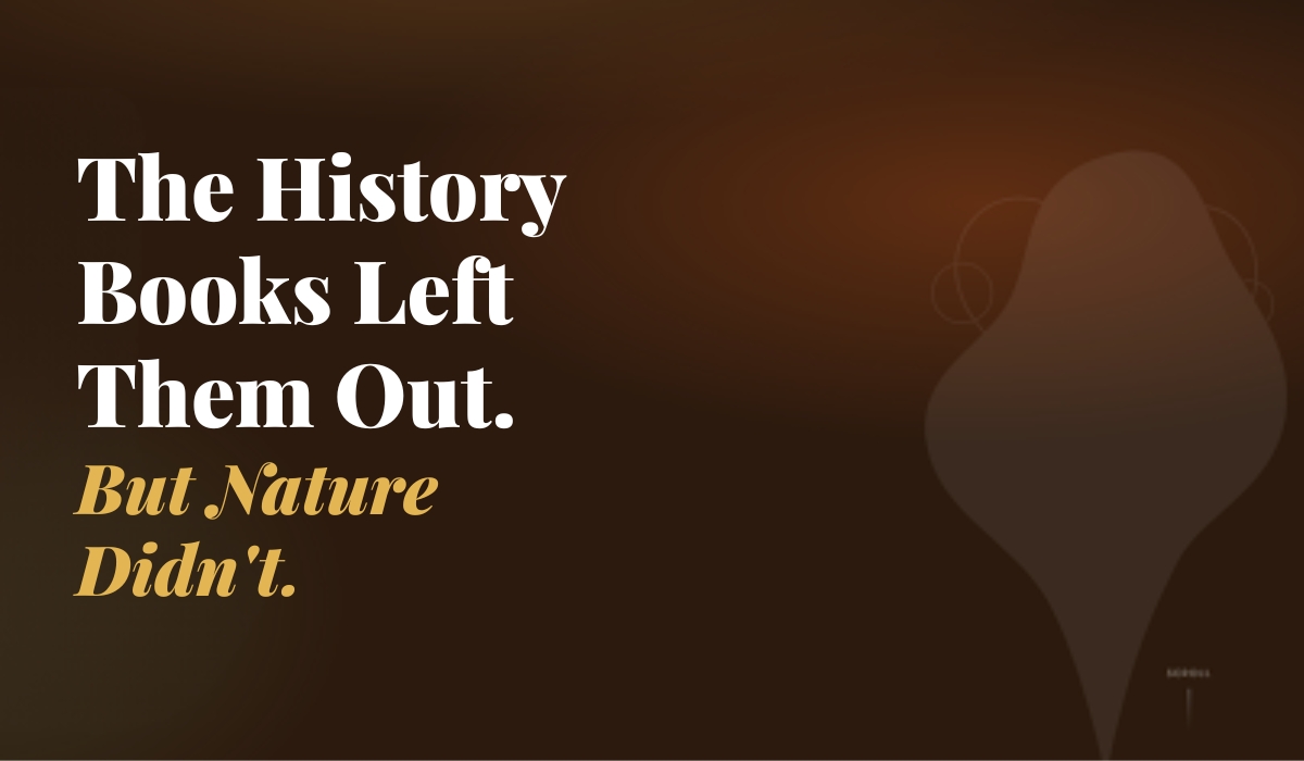 Read more about the article The History Books